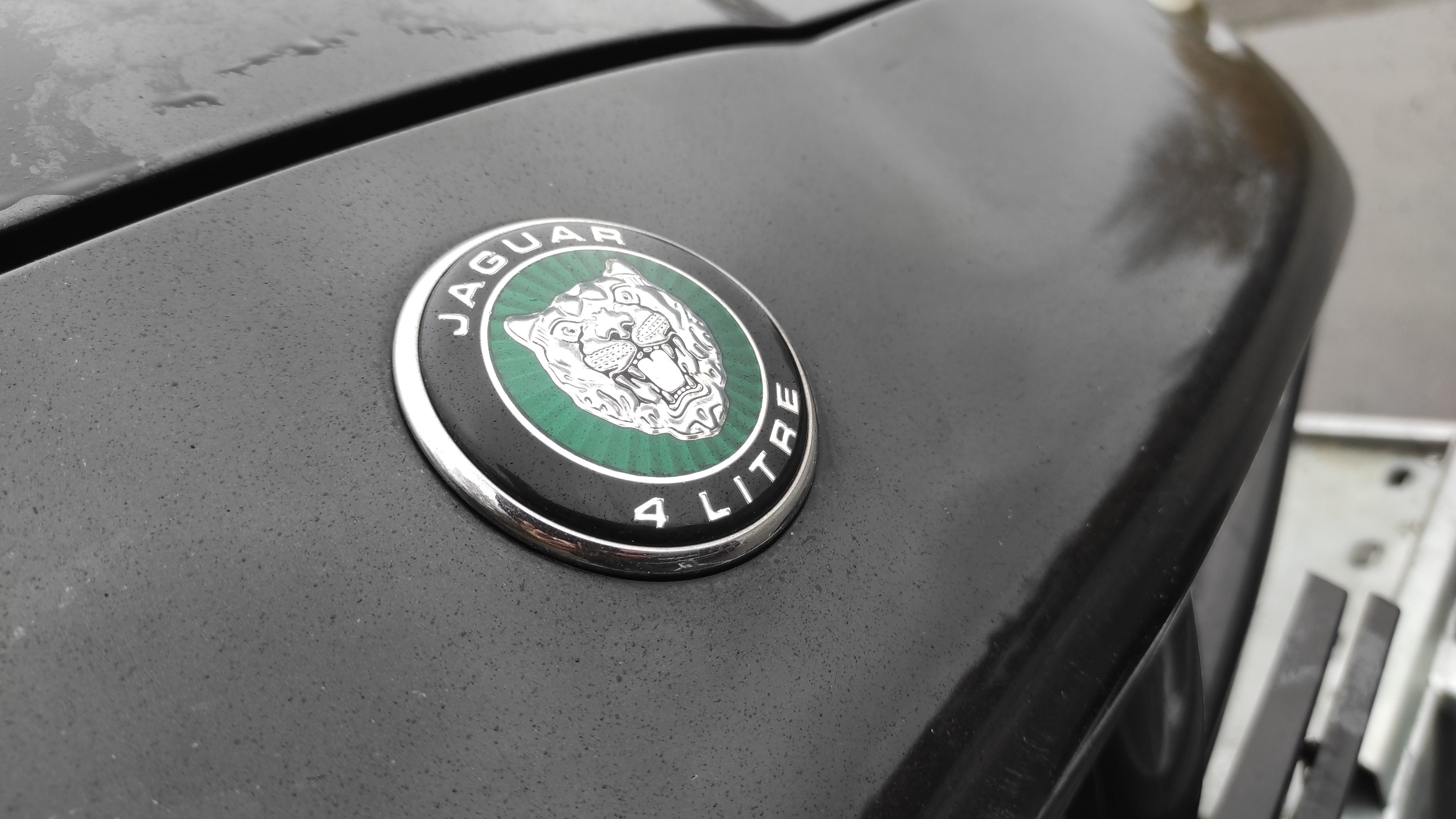 Jaguar